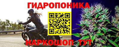 хмурый Краснодар