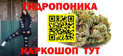 СК Краснокаменск