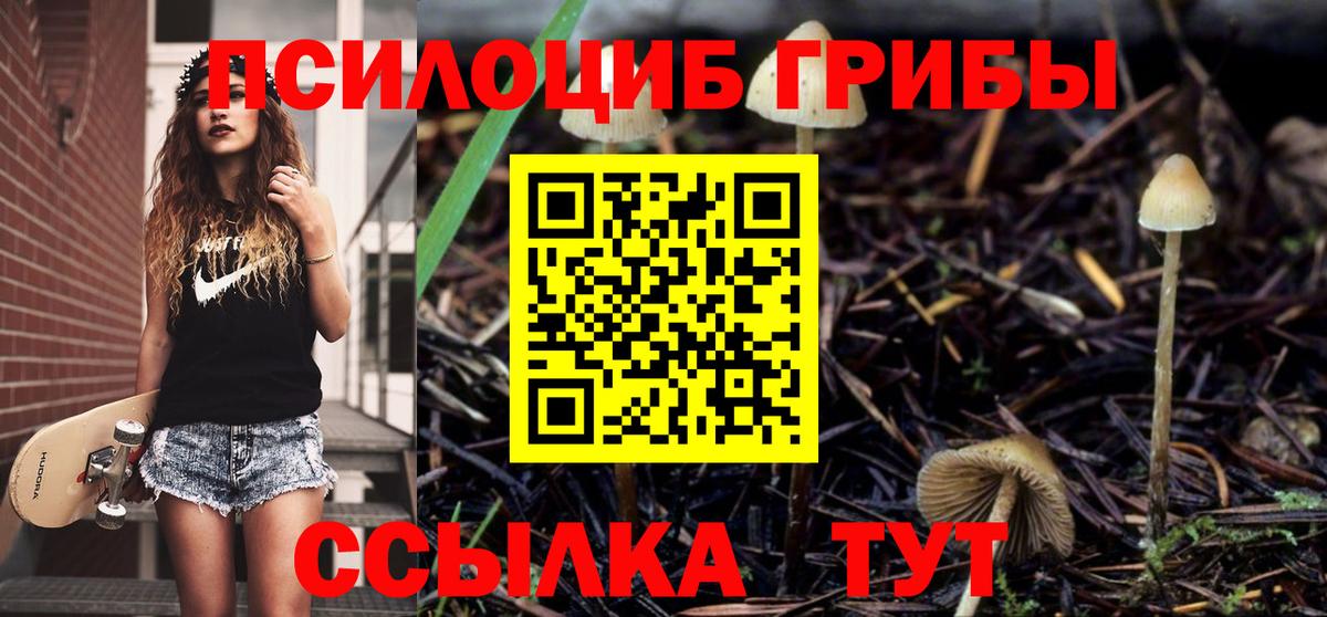 наркота  Вход с VPN  Псилоцибиновые грибы MAGIC MUSHROOMS  Карпинск  Псилоцибиновые грибы Cubensis 